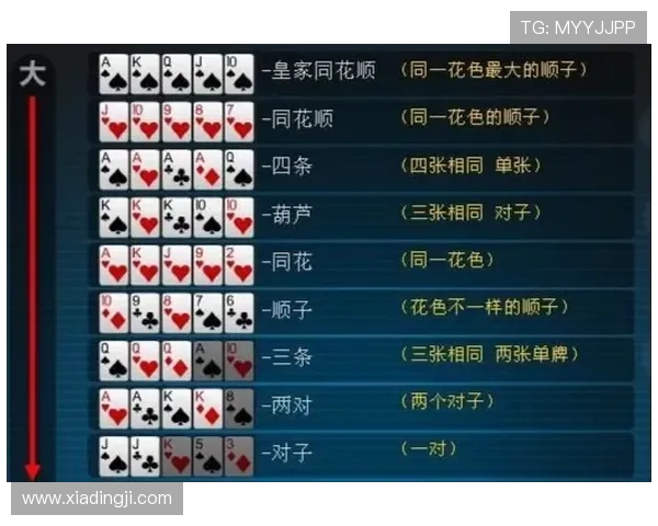 德州扑克比赛规则详解:从入门到高手的完整学习路径