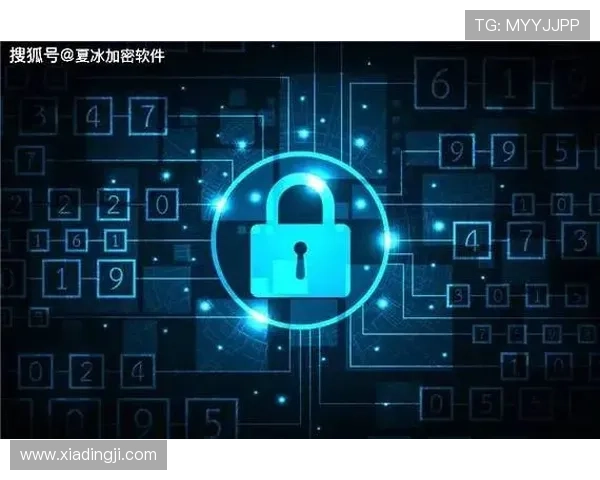 凯发官方下载安全保障,确保用户下载过程中的信息安全与隐私保护