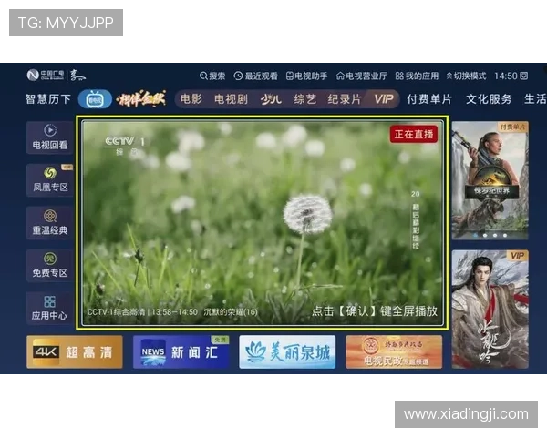 真人视讯网娱乐多彩内容全面解析让你畅享极致视听体验